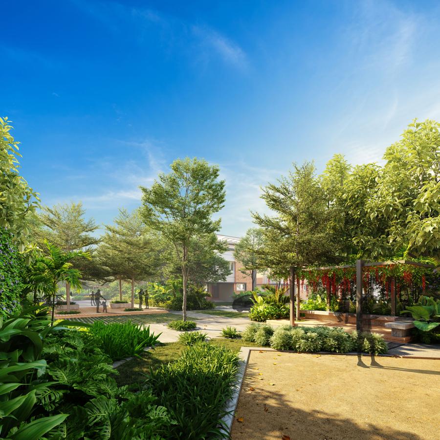 Main-View-Living-Walls-Hush-Fields-Plots